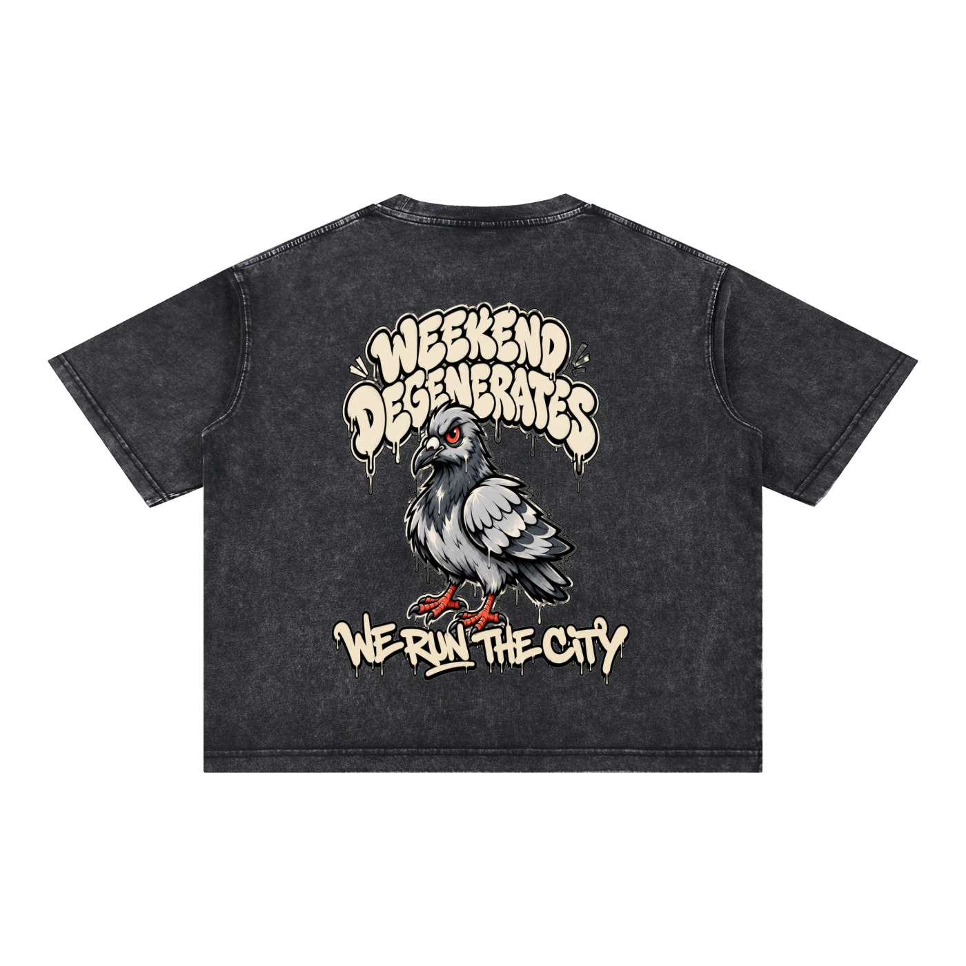 Pigeon Boxy Cotton T-Shirt