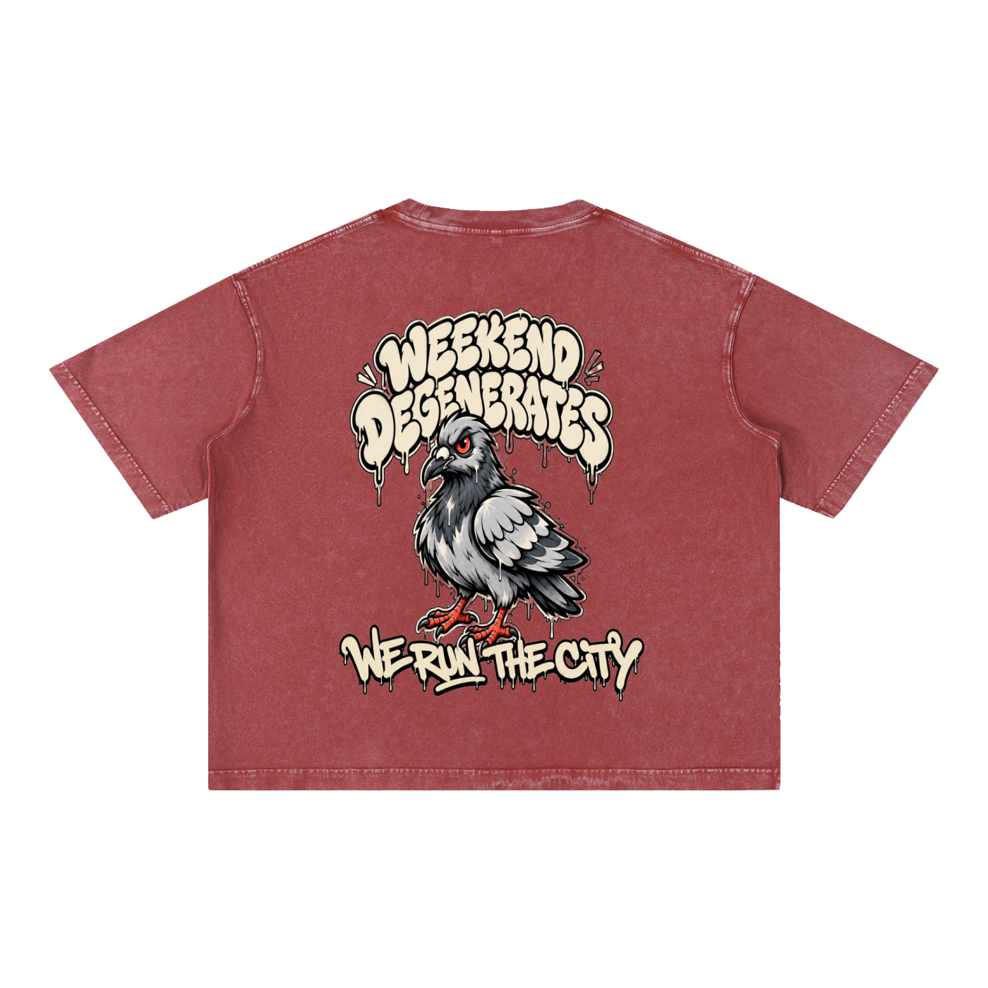 Pigeon Boxy Cotton T-Shirt