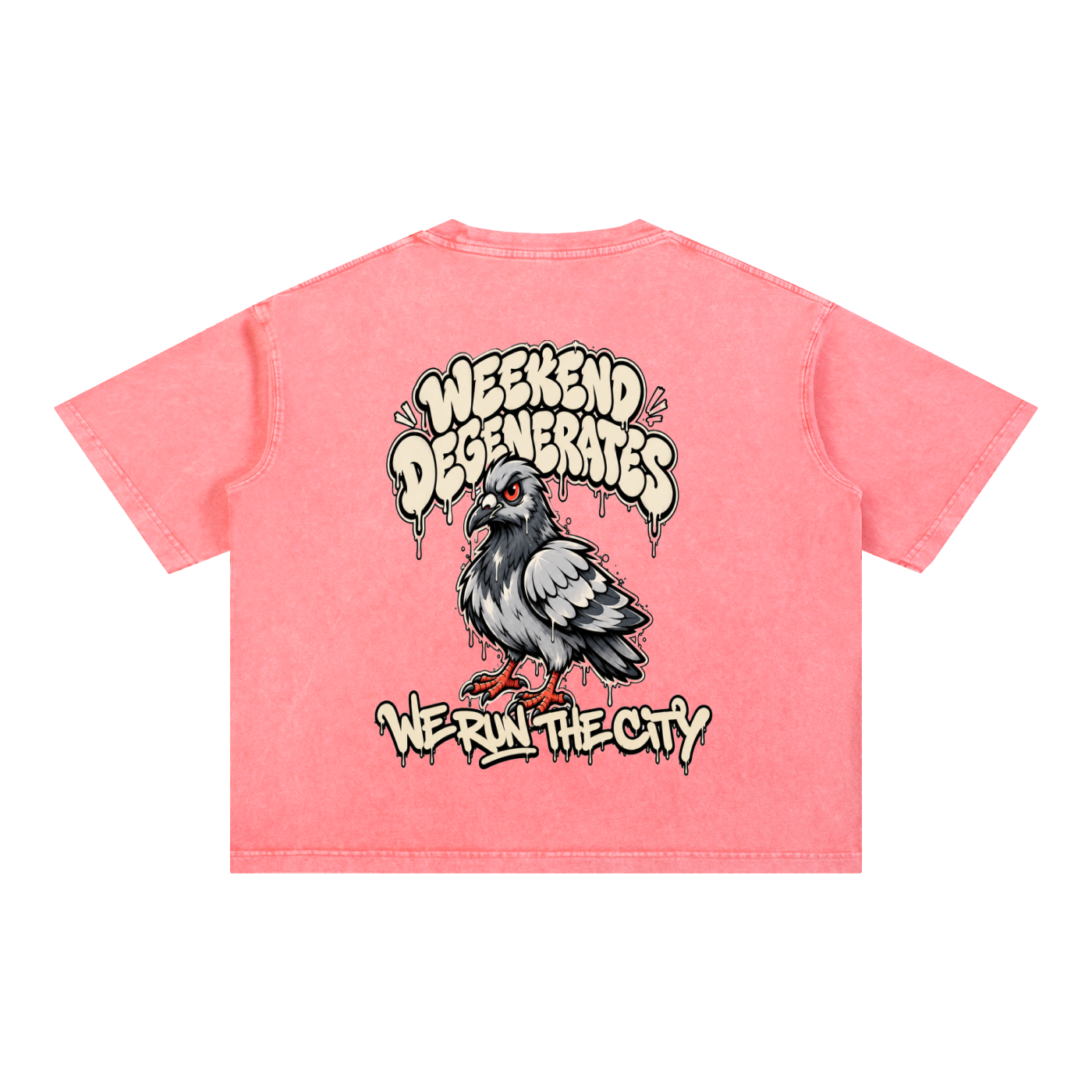 Pigeon Boxy Cotton T-Shirt