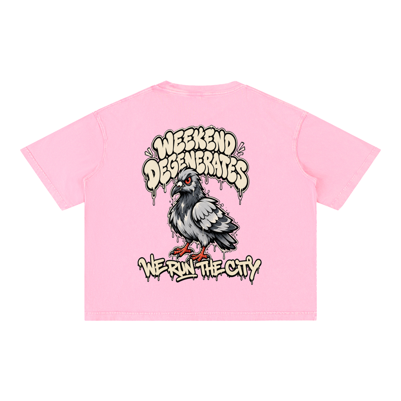 Pigeon Boxy Cotton T-Shirt
