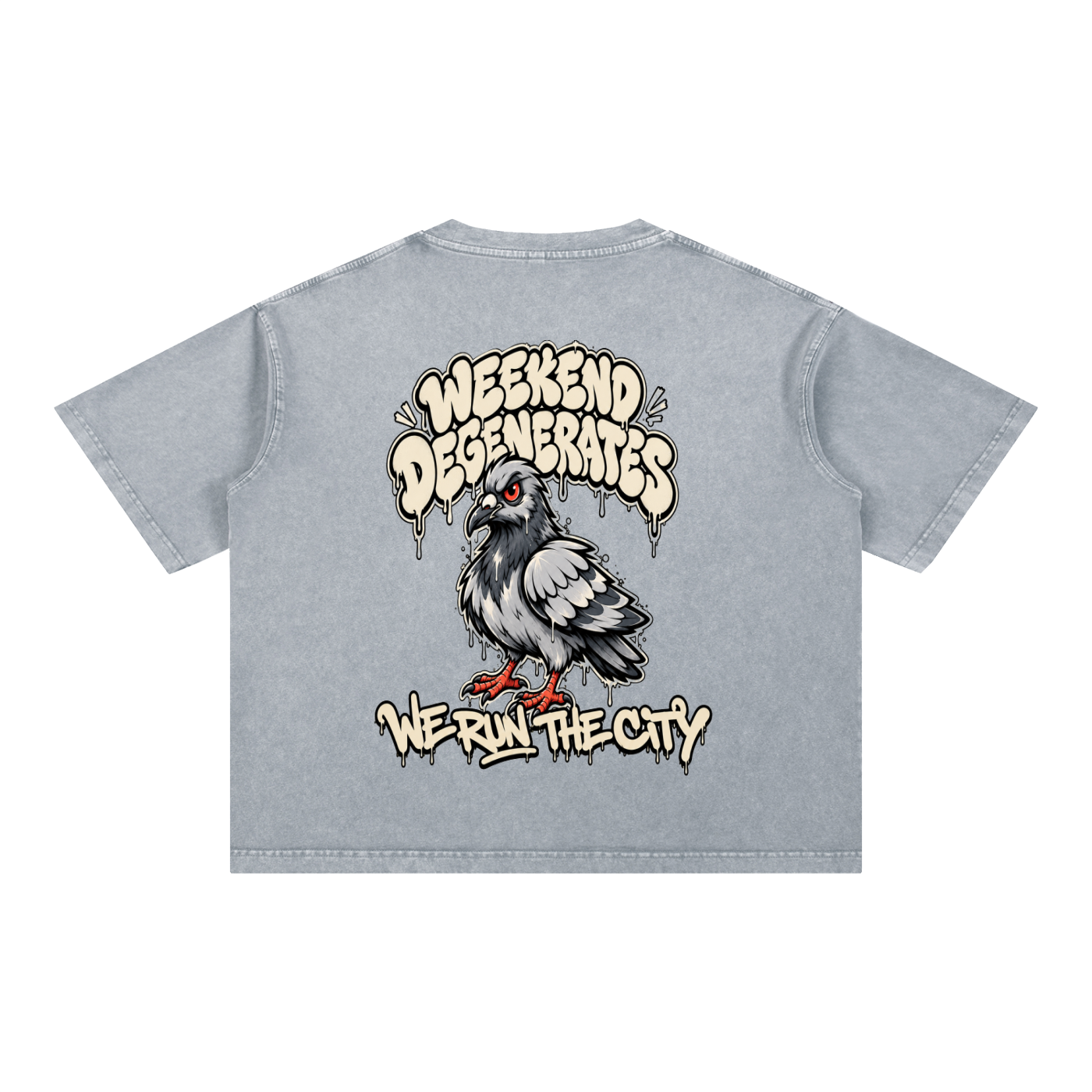 Pigeon Boxy Cotton T-Shirt